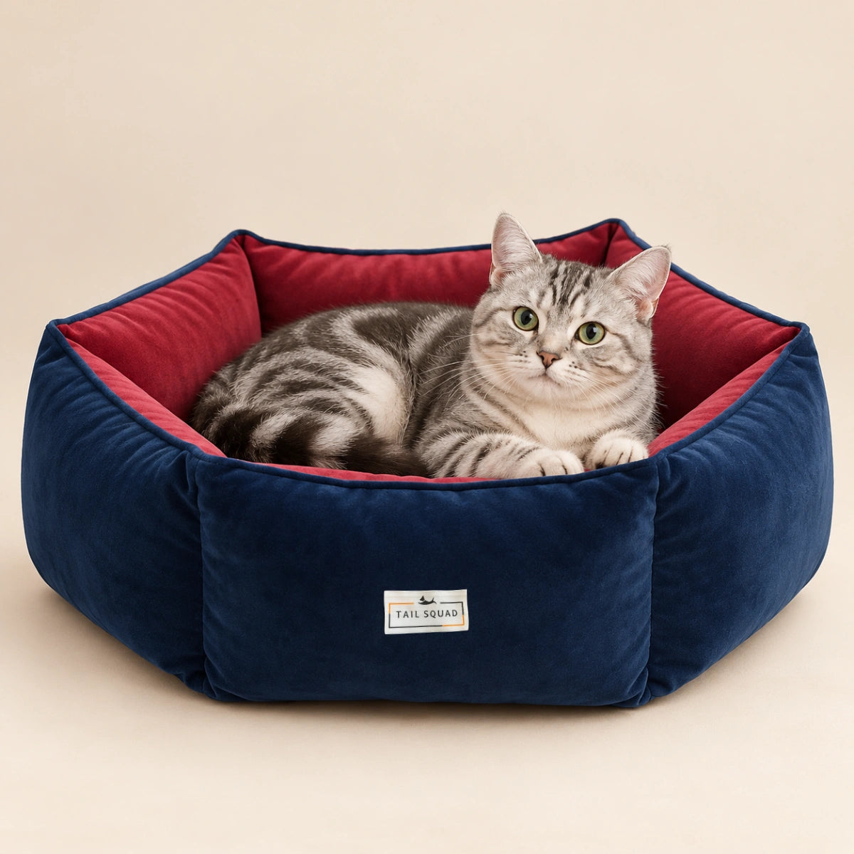 Tail Squad Reversible Summer Cat Bed and House