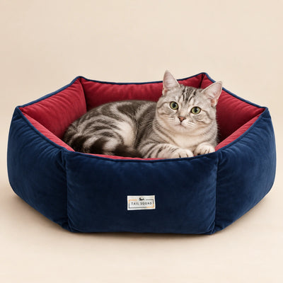 Tail Squad Reversible Summer Cat Bed and House