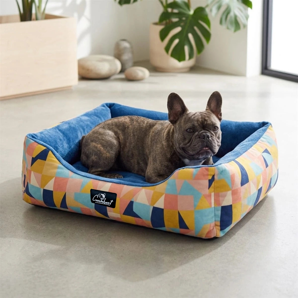Solara Lux Dog Beds Printed Lounger