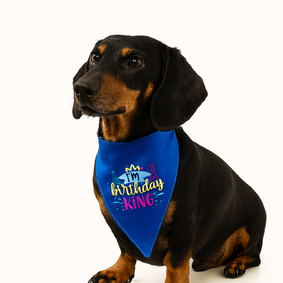 Tail Squad Bandana for Dogs and Cats- Birthday King