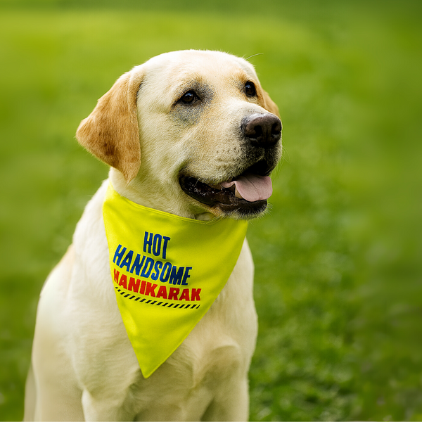 Tail Squad Bandana for Dogs and Cats- Hot Handsome Hanikarak - TAIL SQUAD