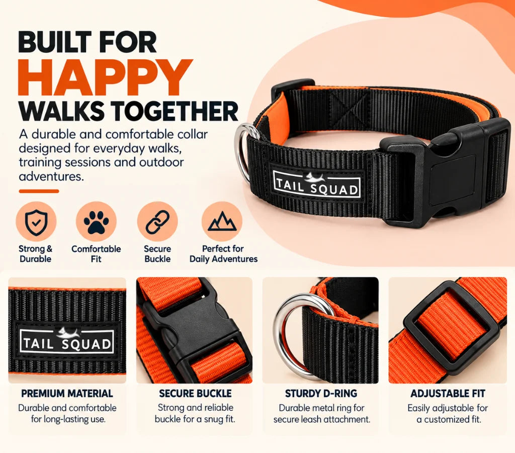 Tail Squad Dog Collar- Black