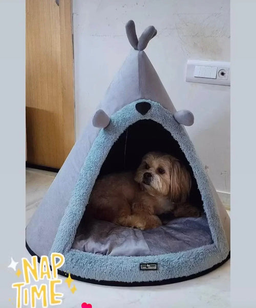 Dog inside Bear hugs gray cone teepee bed
