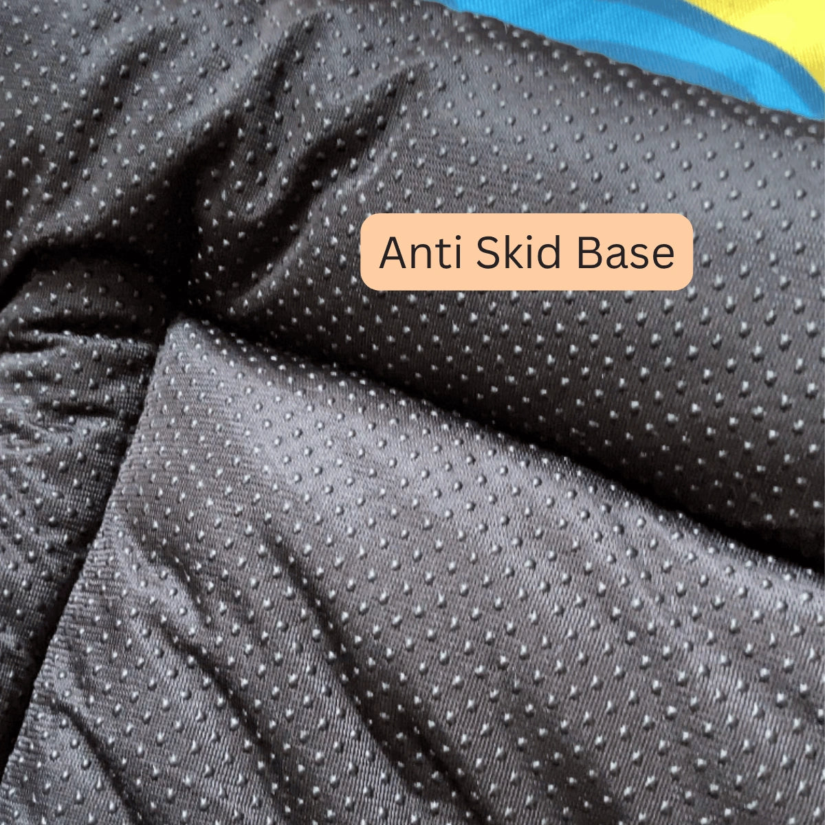anti skid pet mat