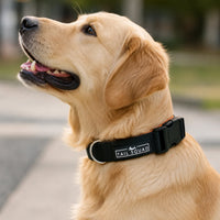 Tail Squad Dog Collar- Black