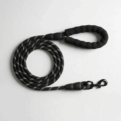 Tail Squad Reflective Rope Leash for Dogs - Black (15mm)