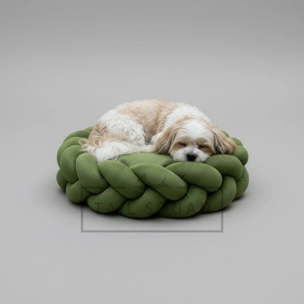 Tail Squad Braided Round Bed for Dogs Green with dog sleeping on plush cushioned calming pet bed design