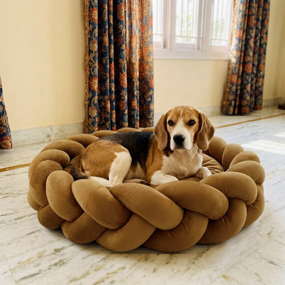 Tail Squad Braided Round Bed for Dogs- Brown