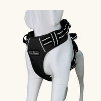Tail Squad Smart QR Dog Harness – Adjustable & Durable