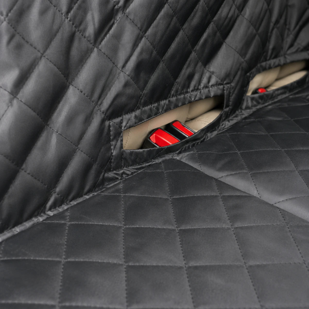 dog seat for a car