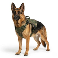 Tail Squad Tactical Dog Harness for Large Breed Dogs