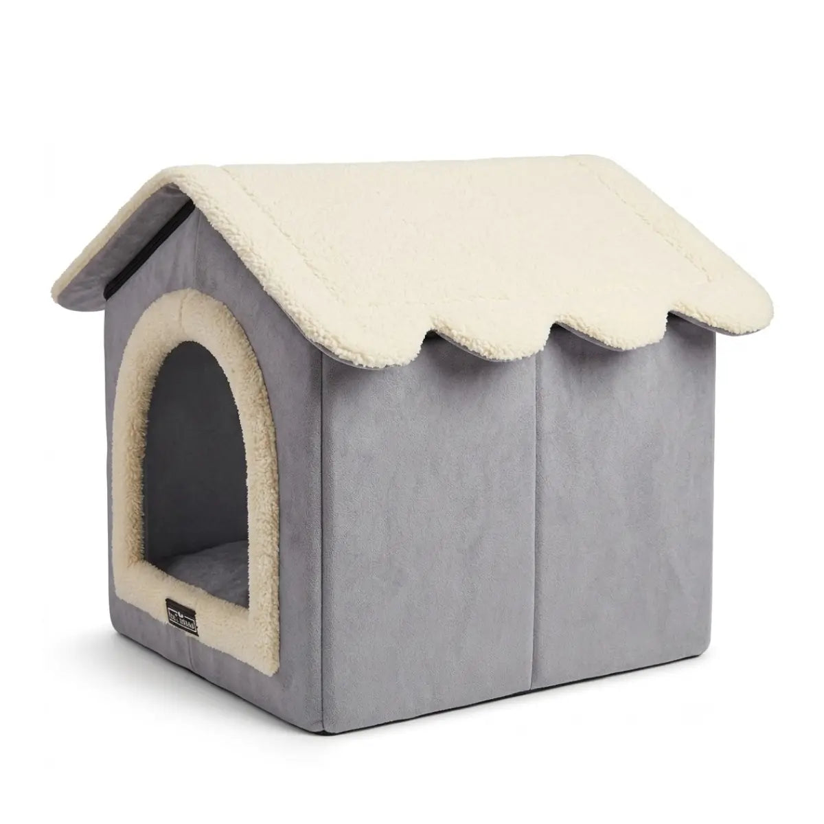 grey house cat