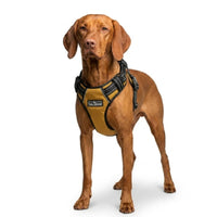 Tail Squad QR Adjustable Dog Harness – Full Body Support