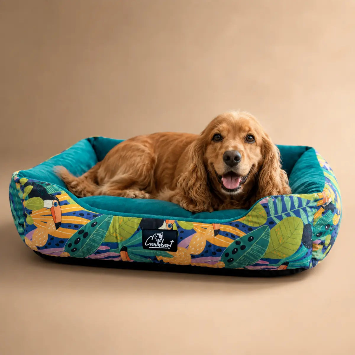 printed beds for dog