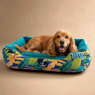 CK Washable Printed Lounger Beds For Dog