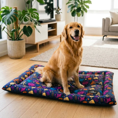 CK Washable Printed Mat for Dogs