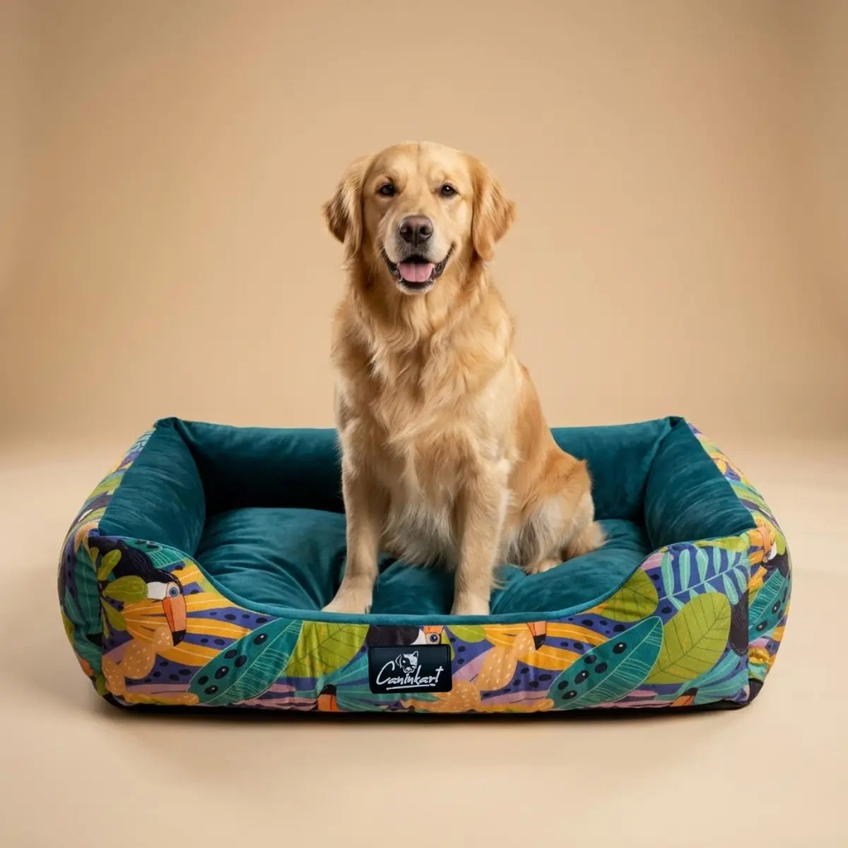 printed washable dog bed