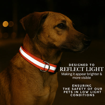 Tail Squad Reflective Dog Collar (Pack of 3)