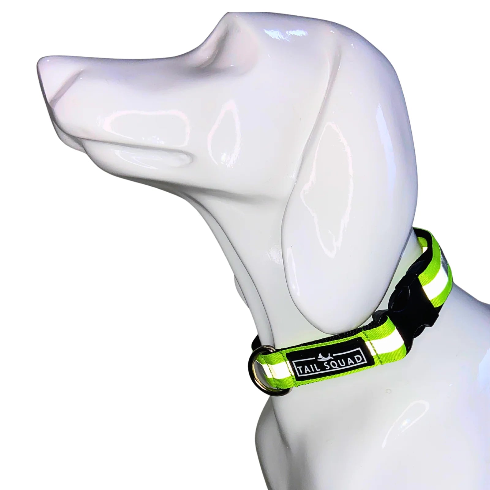 Dog wearing Tail Squad Reflective Dog Collar green showing secure fit and high-visibility reflective safety collar for night walks