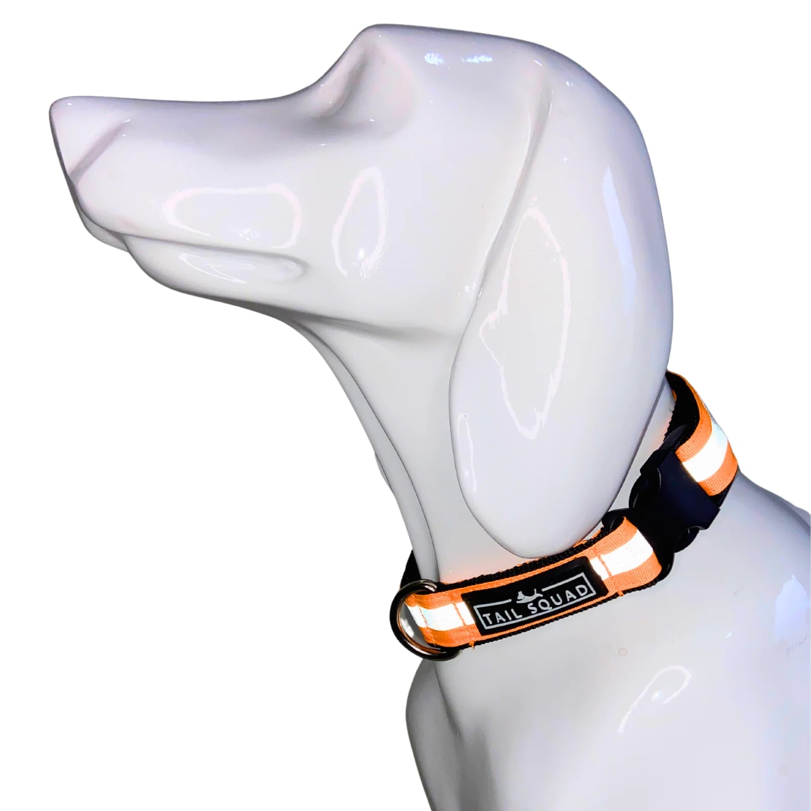 Dog wearing Tail Squad Reflective Dog Collar red variant featuring durable nylon and reflective safety design for dogs