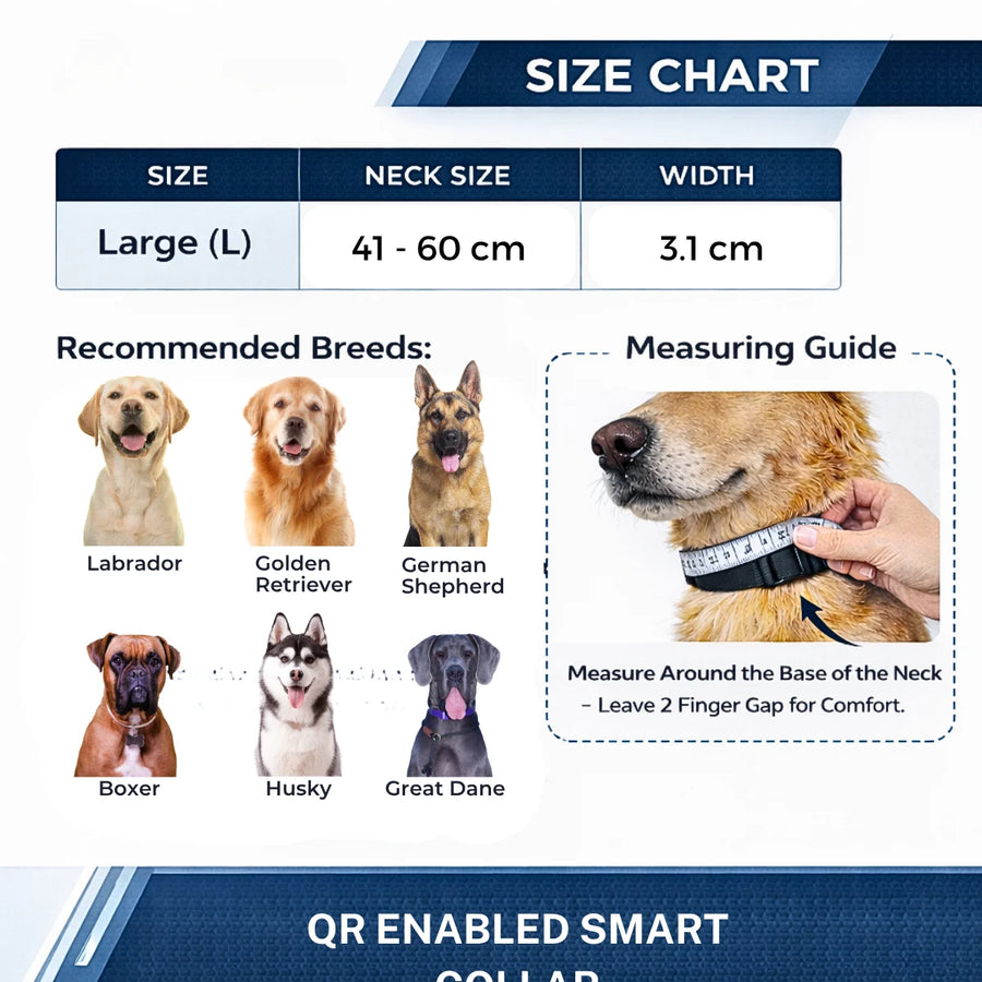 Large Blue adjustable dog collar with digital dog ID tag and reflective stitching for safety. [vnd_sizechart]