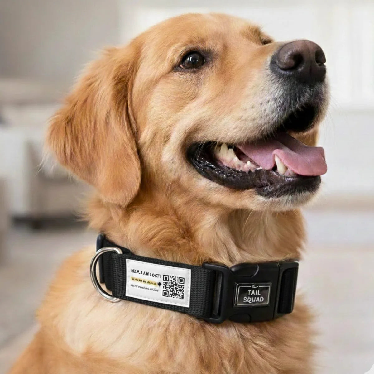 Golden retriever wearing a black GPS-enabled dog collar with adjustable fit.