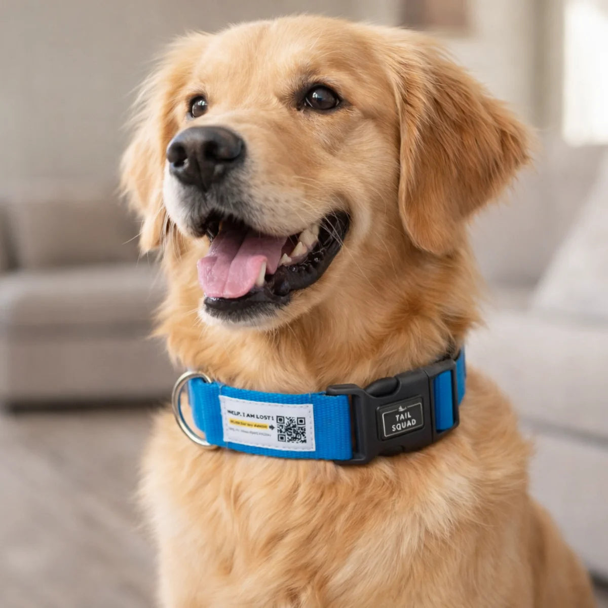 Tail Squad Smart Padded Dog Collar - QR Code