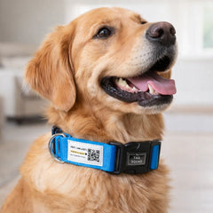 Tail Squad QR Enabled Smart Padded Dog Collar