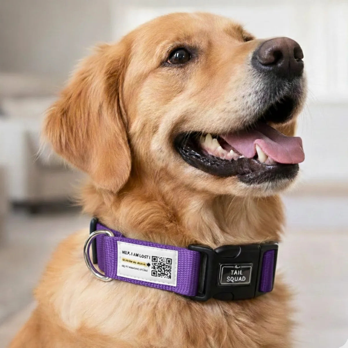 Tail Squad Smart Padded Dog Collar QR Enabled