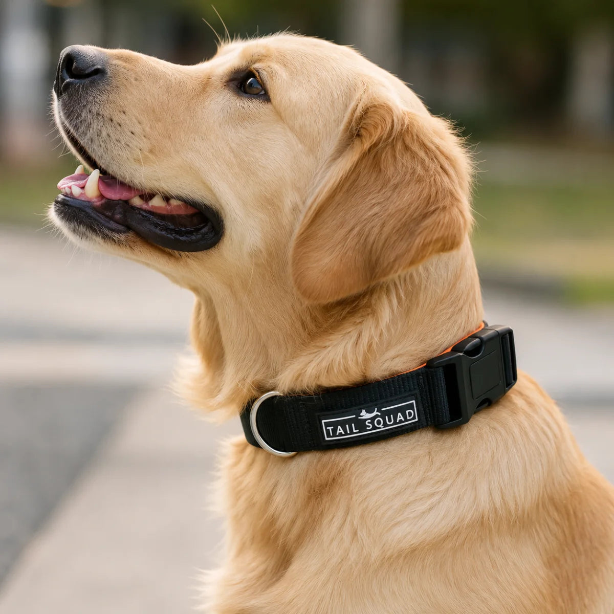 Tail Squad Dog Collar Black side profile with adjustable buckle and durable nylon collar design for dogs