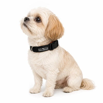 Tail Squad Dog Collar- Black