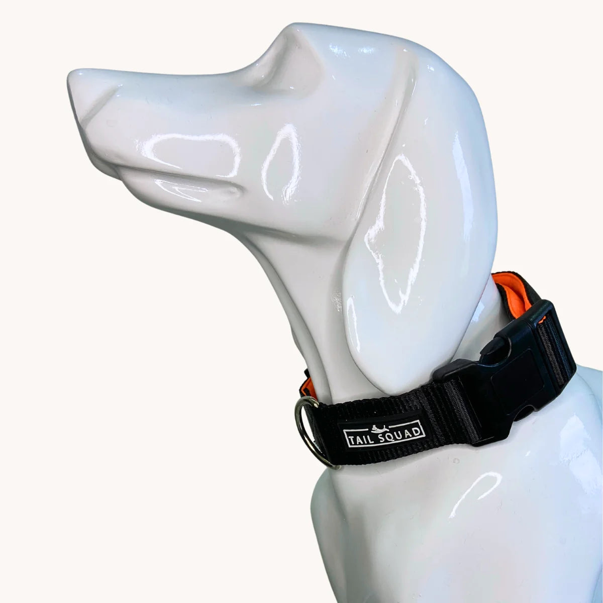 Dog wearing Tail Squad Dog Collar Black with secure adjustable fit and stylish daily walking collar support