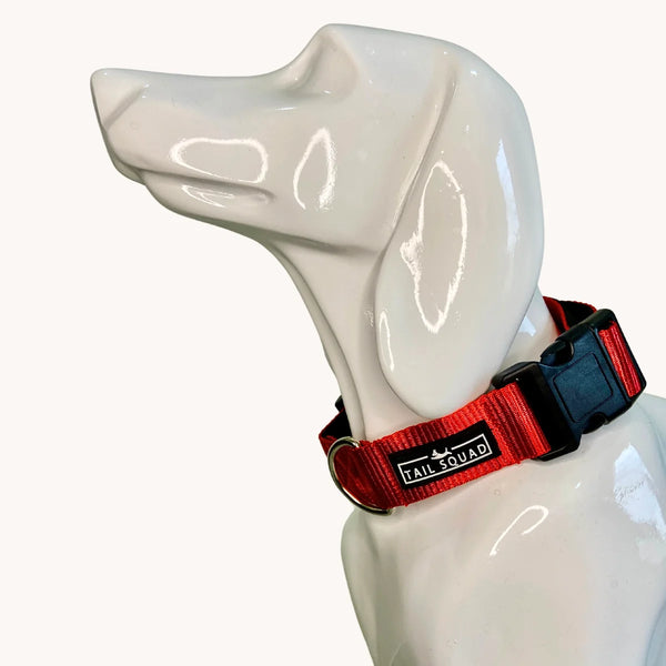 Dog wearing Tail Squad Dog Collar Red featuring stylish adjustable fit and secure collar support for pets