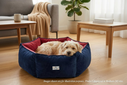 Dog resting in Tail Squad Reversible Summer Bed Small while owner shows affection on comfortable cozy summer pet bed