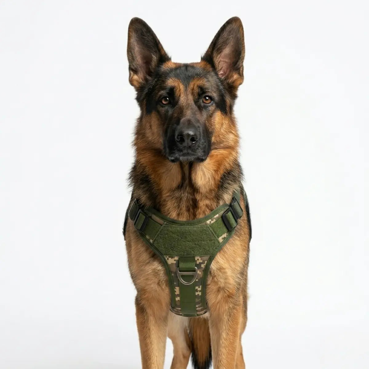 Front view of premium dog harness with secure straps and comfortable chest support.