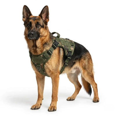 Tactical Dog Harness - Large Breed Dogs