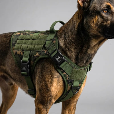 Tactical Dog Harness - Large Breed Dogs
