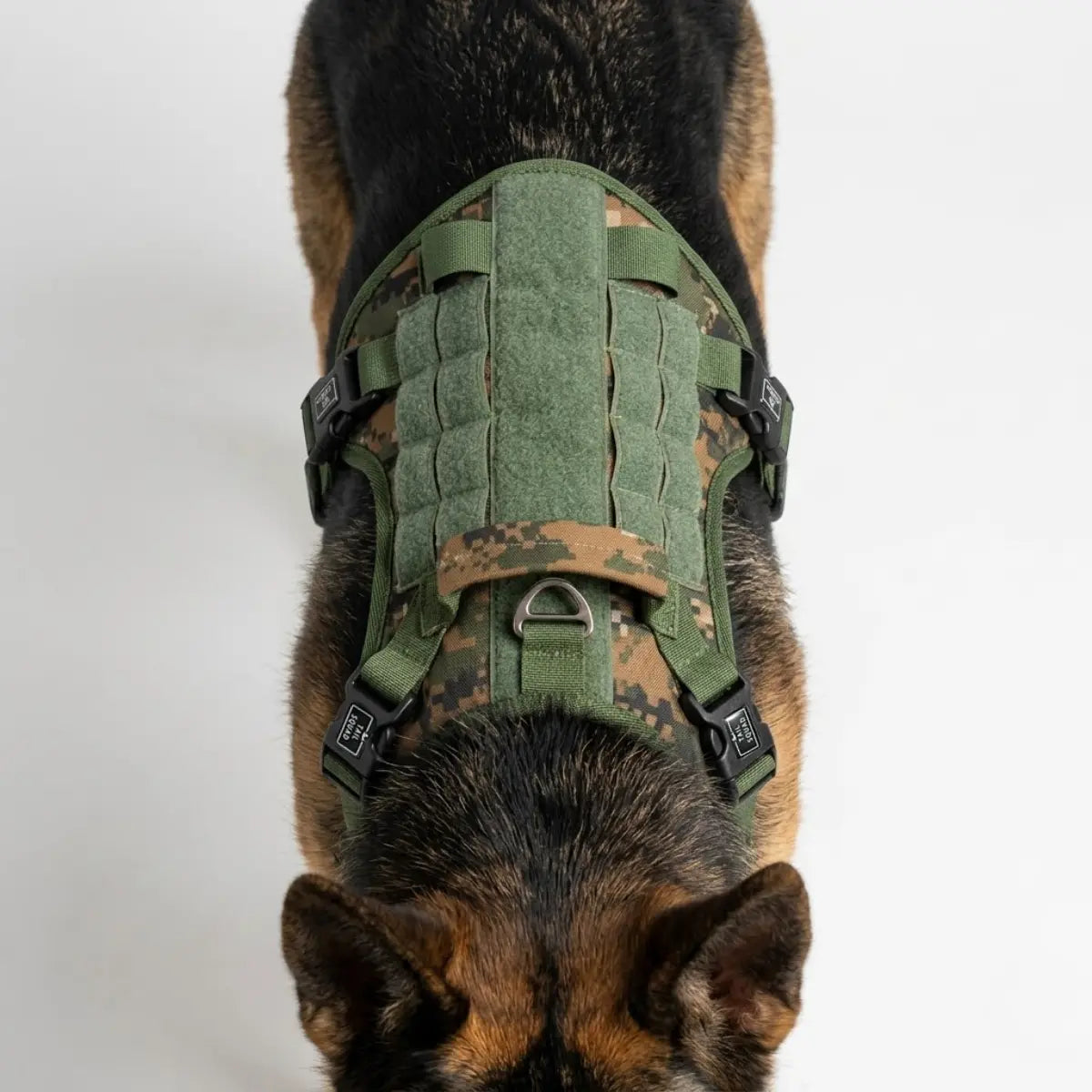 Breathable full body dog harness for active dogs with durable buckle design.