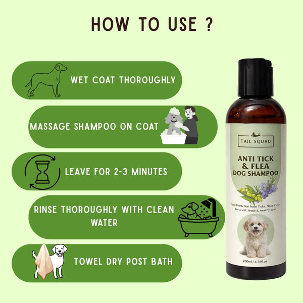 How to use anti-tick and flea dog shampoo for effective pet coat cleaning and care.