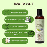 How to use anti-tick and flea dogs shampoo for effective pet coat cleaning and care.