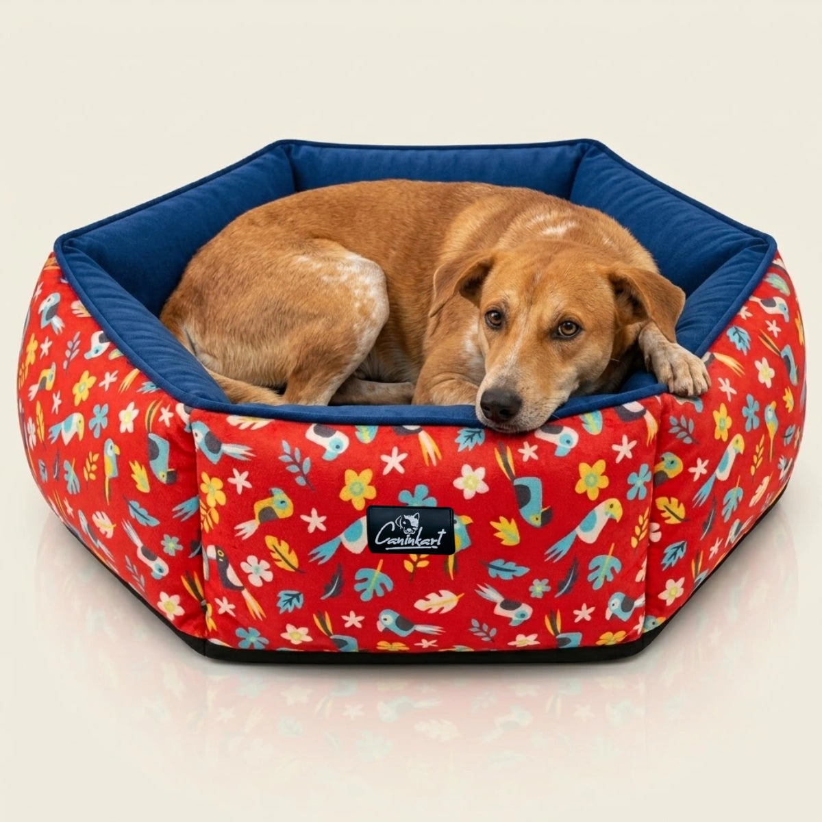 washable pawtagon beds for dog
